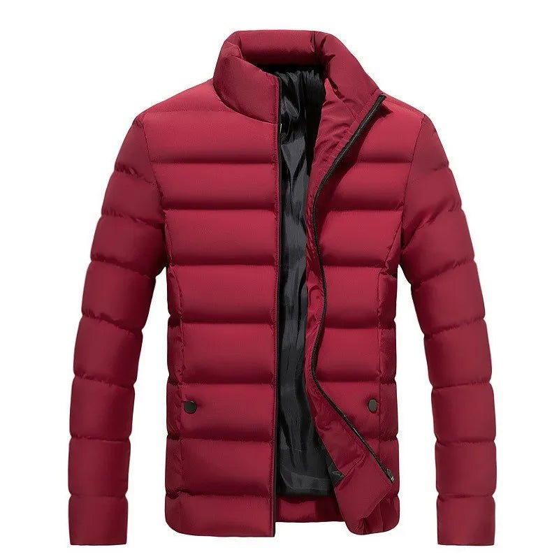 Herren Winterjacke Carsten - Klassisch gesteppt