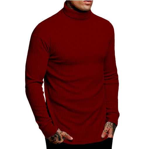 Herren modischer Rollkragenpullover Krohn-e