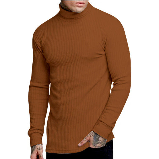 Herren modischer Rollkragenpullover Krohn-e