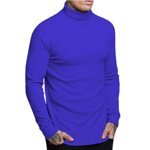 Herren modischer Rollkragenpullover Krohn-e