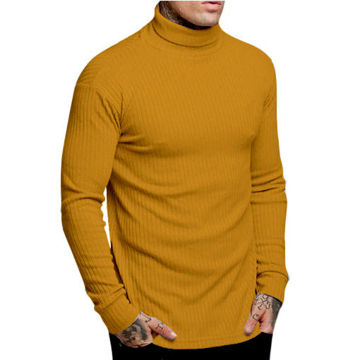 Herren modischer Rollkragenpullover Krohn-e