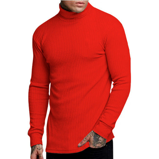 Herren modischer Rollkragenpullover Krohn-e