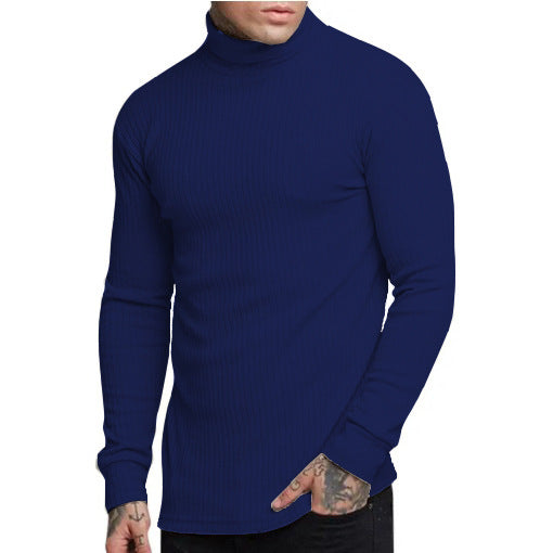 Herren modischer Rollkragenpullover Krohn-e