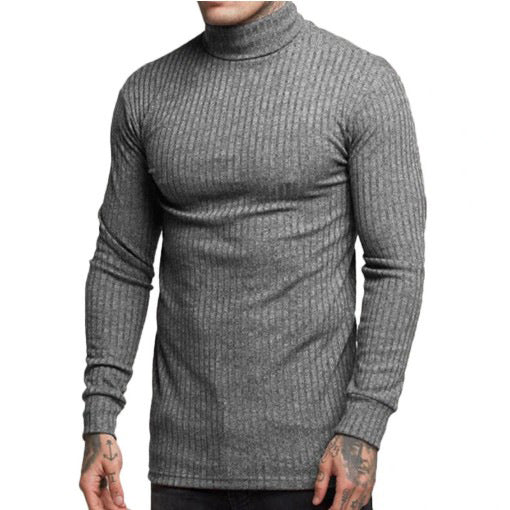 Herren modischer Rollkragenpullover Krohn-e