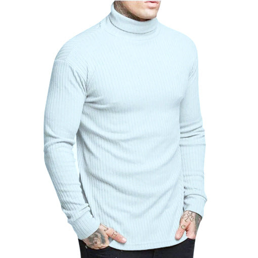 Herren modischer Rollkragenpullover Krohn-e