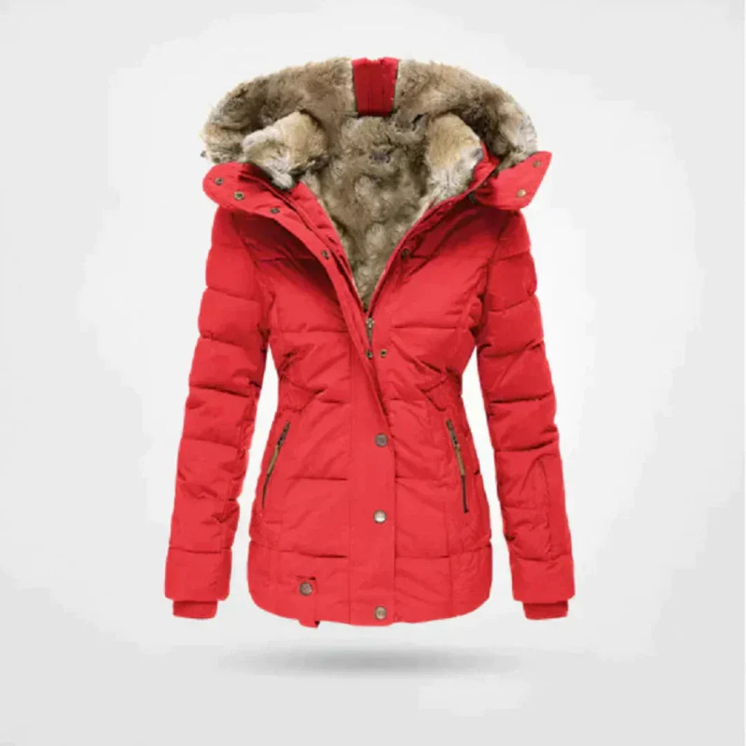 Krohn-e | Winterjacke Kurz Gefüttert, Taillierte Passform