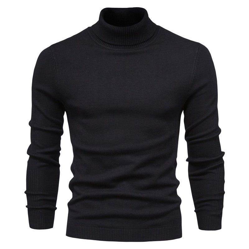 Herren modischer Rollkragenpullover aus feiner Merinowolle Krohn-e