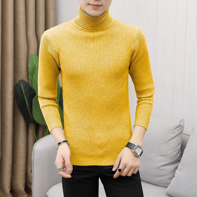 Herren Rollkragenpullover aus feiner Baumwolle mit strukturiertem Design Krohn-e