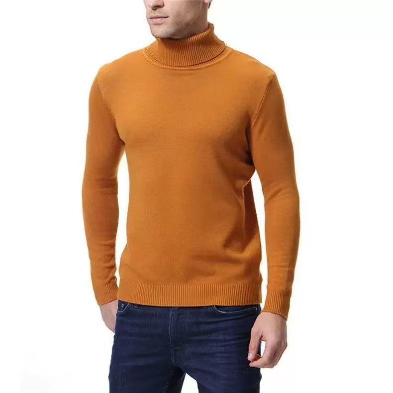 Herren Rollkragenpullover aus feiner Baumwolle Krohn-e