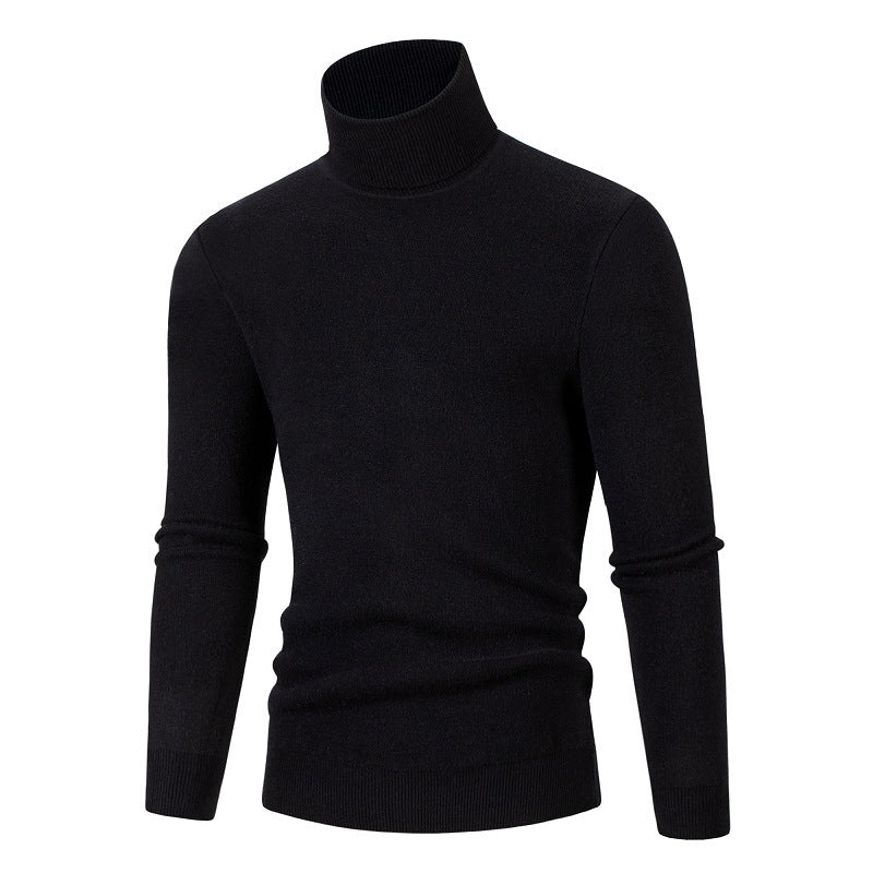 Herren Rollkragenpullover aus weichem Material Krohn-e