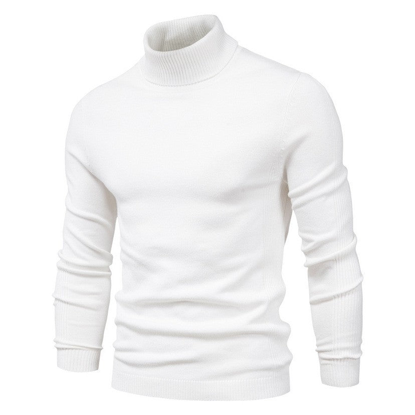 Herren modischer Rollkragenpullover aus feiner Merinowolle Krohn-e