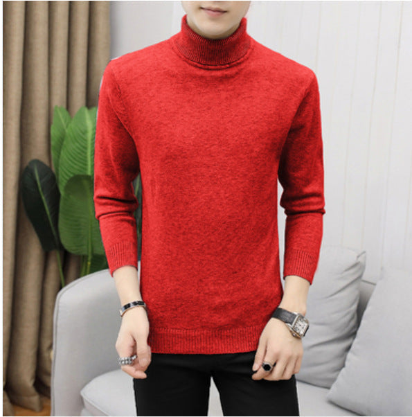 Herren Rollkragenpullover aus hochwertiger Baumwolle Krohn-e