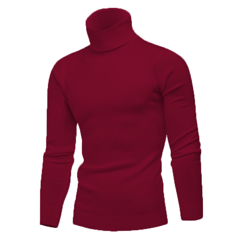 Herren Strickpullover mit hohem Kragen Krohn-e