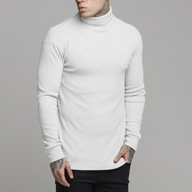 Herren modisches Langarmshirt mit Rollkragen Krohn-e