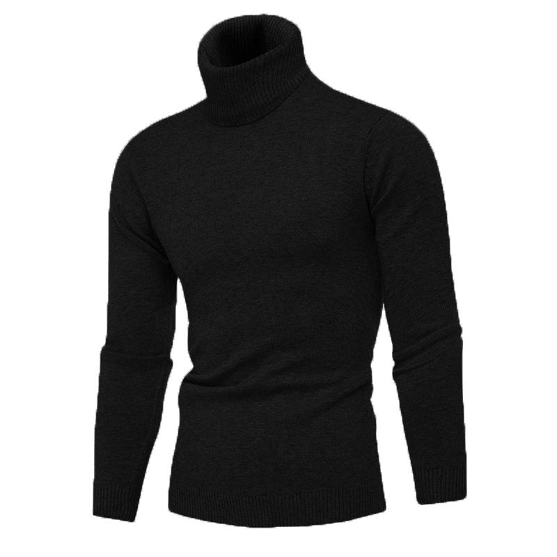 Herren Strickpullover mit hohem Kragen Krohn-e