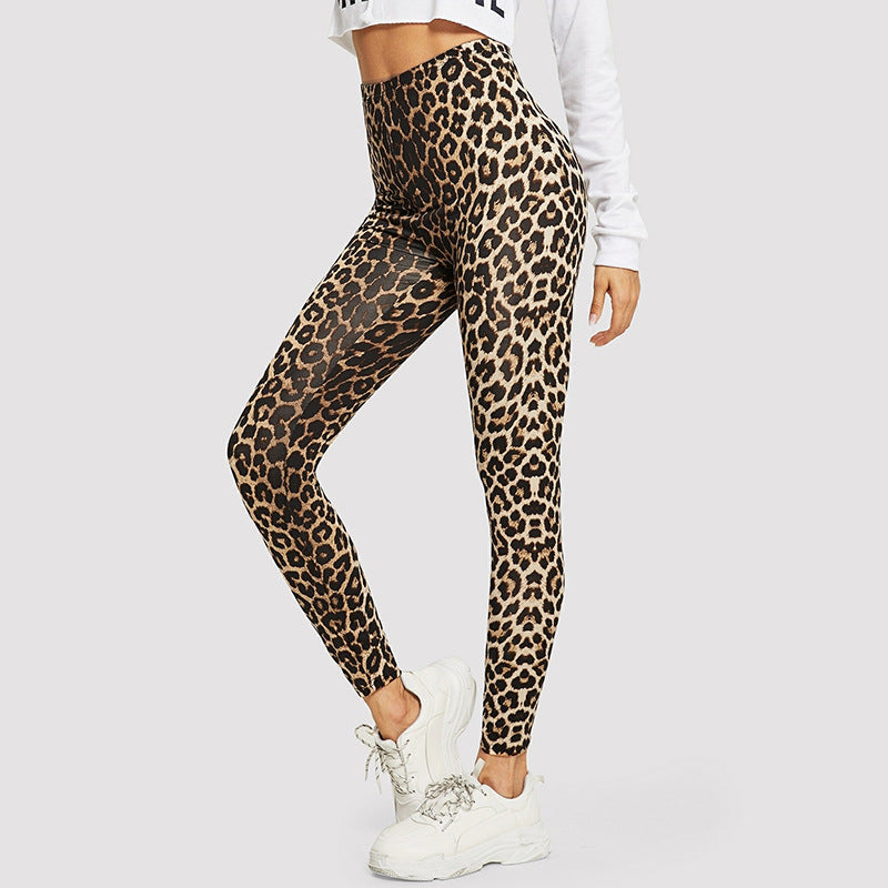 Damen Elegante Leggings im modischen Leopardenmuster Krohn-e
