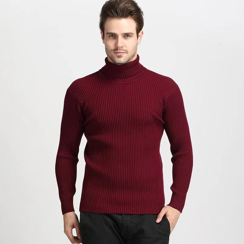 Herren Rollkragenpullover aus feiner Baumwolle mit strukturiertem Design Krohn-e