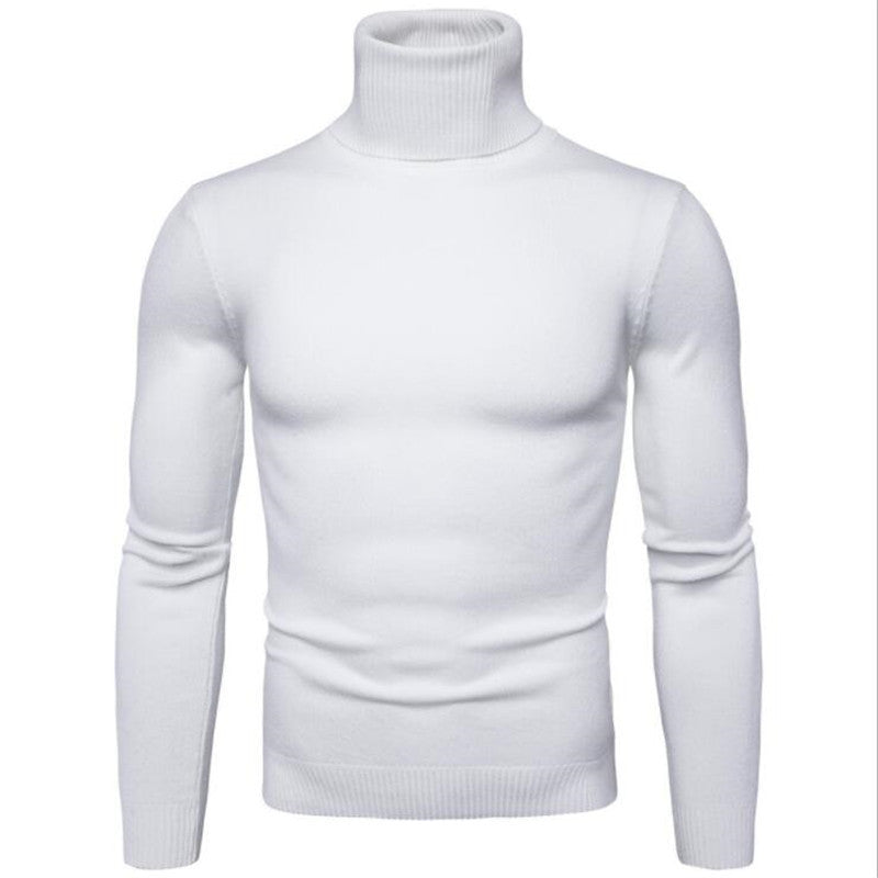 Herren eleganter Rollkragenpullover aus feiner Merinowolle Krohn-e