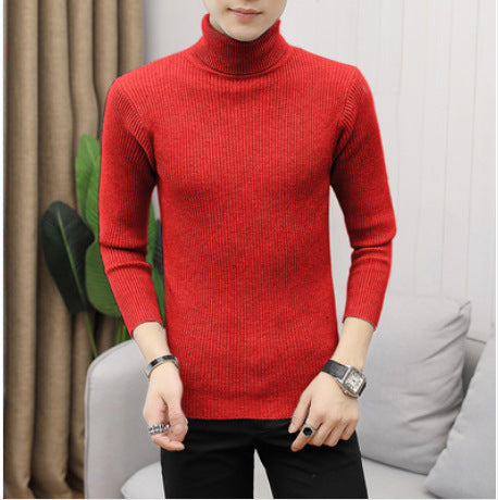 Herren Rollkragenpullover aus feiner Baumwolle mit strukturiertem Design Krohn-e