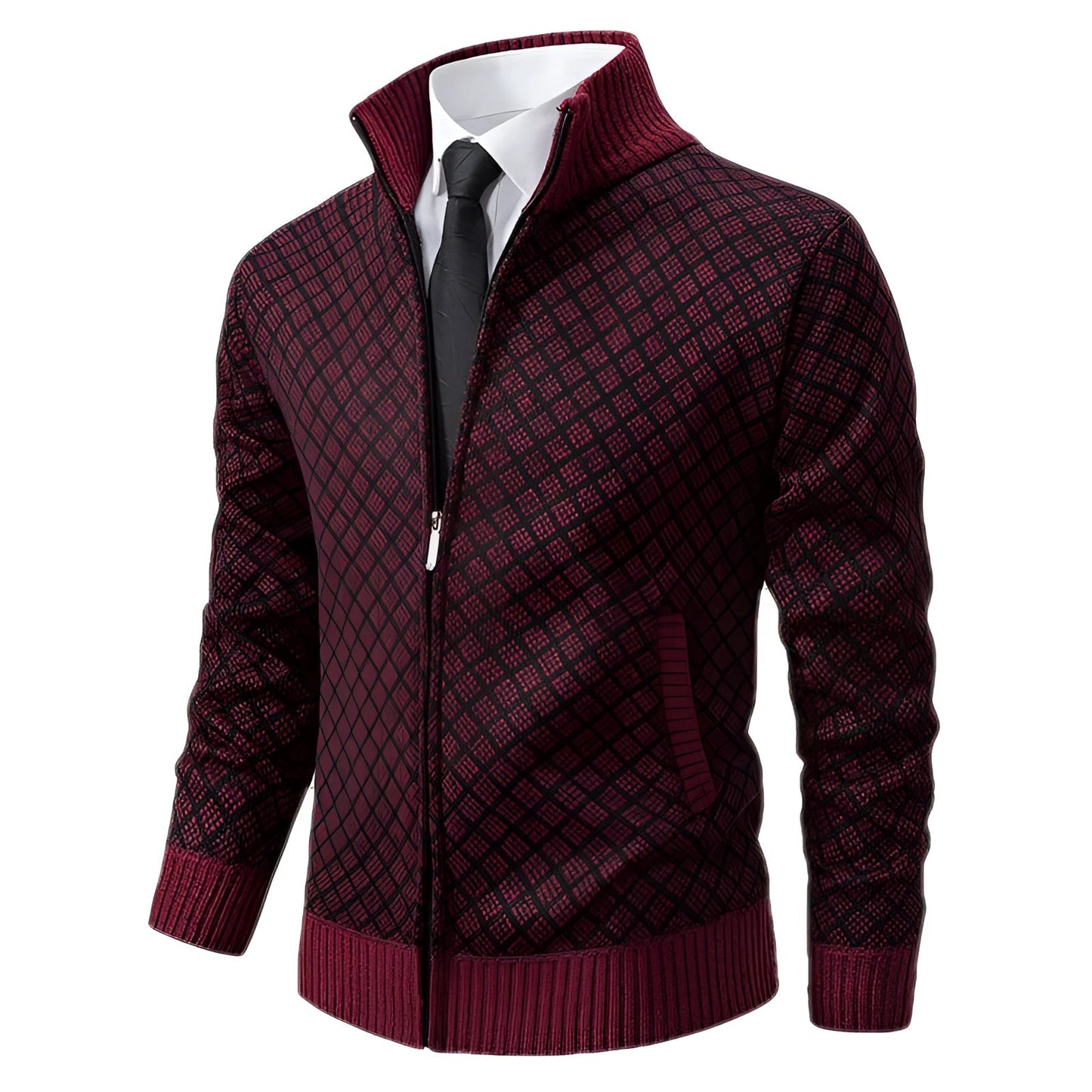 Stylishe Herren Winterjacke mit Reißverschluss – Holger